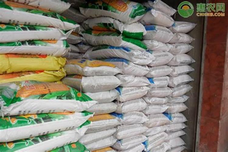 生根壮根的肥料有哪些