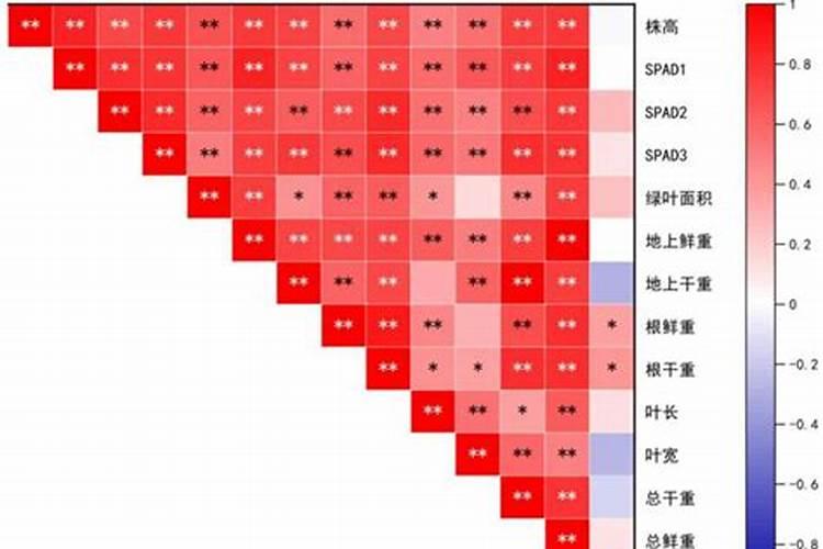 高温天气能打玉米控旺药吗