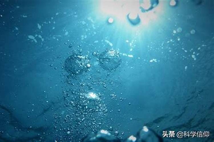 夏季栗子树施什么肥最好？