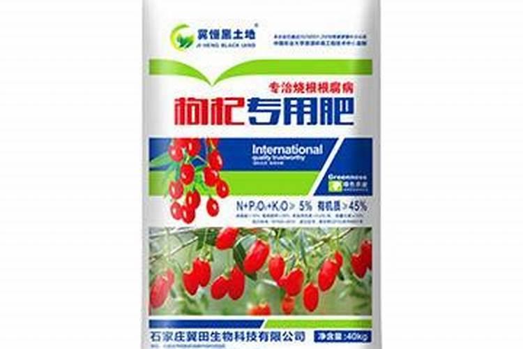 怎样种植豆角可以获得高产量？