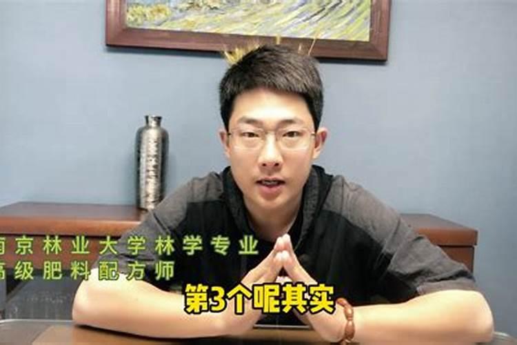 椰子的种植技巧,用什么叶面肥