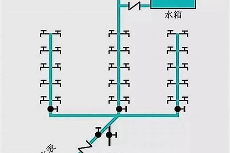 豆角如何提高结荚率？豆角用什么肥好？