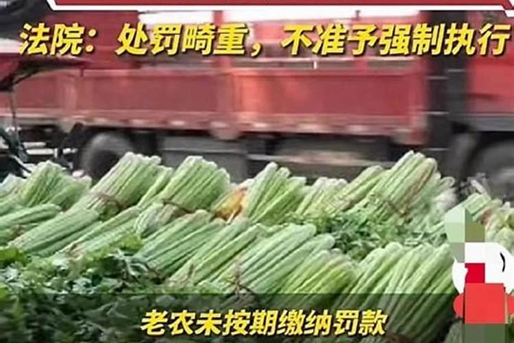 氮磷钾施肥过量,会有什么危害？