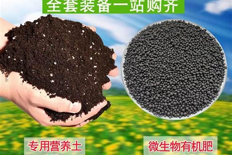 养花用有机肥好还是复合肥好