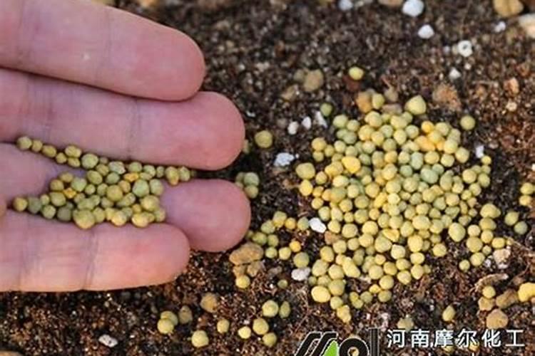 控释肥和水溶肥的区别