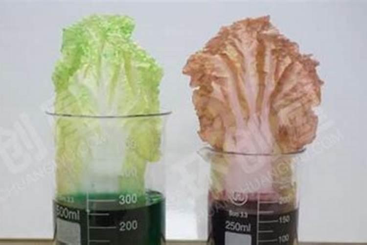 平衡水溶肥配方