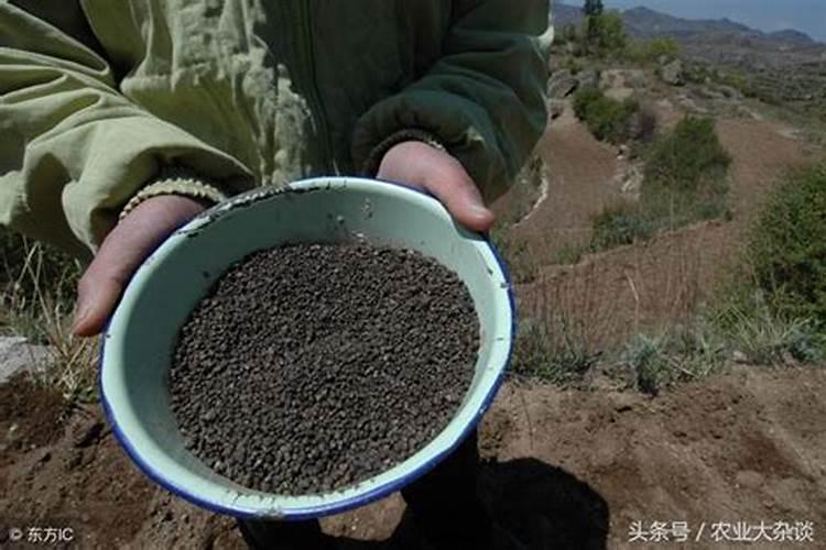 农作物吸收磷肥最多是什么花生为什么需要磷肥