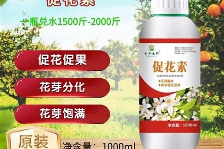 什么肥可促进花芽分化
