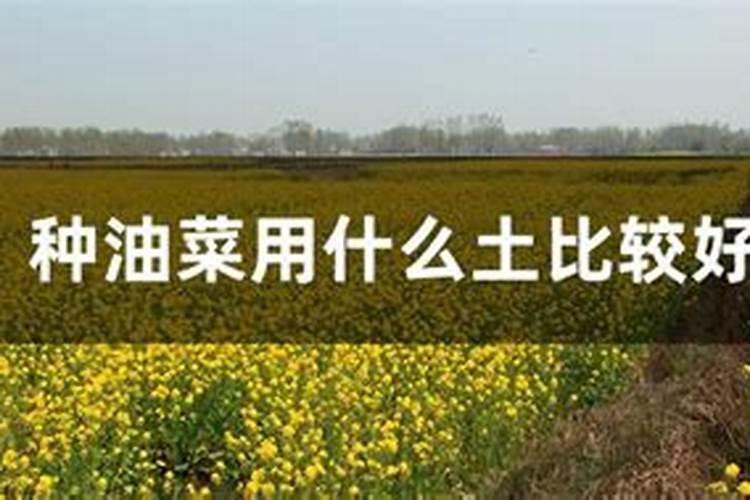 农用的矿源黄腐酸钾,好点的含量是多少？