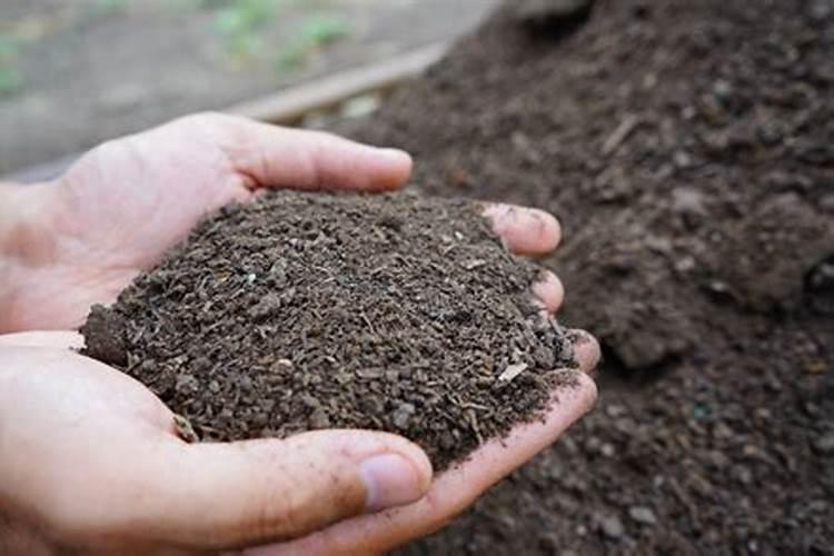 大便肥和尿肥,哪个肥力高？