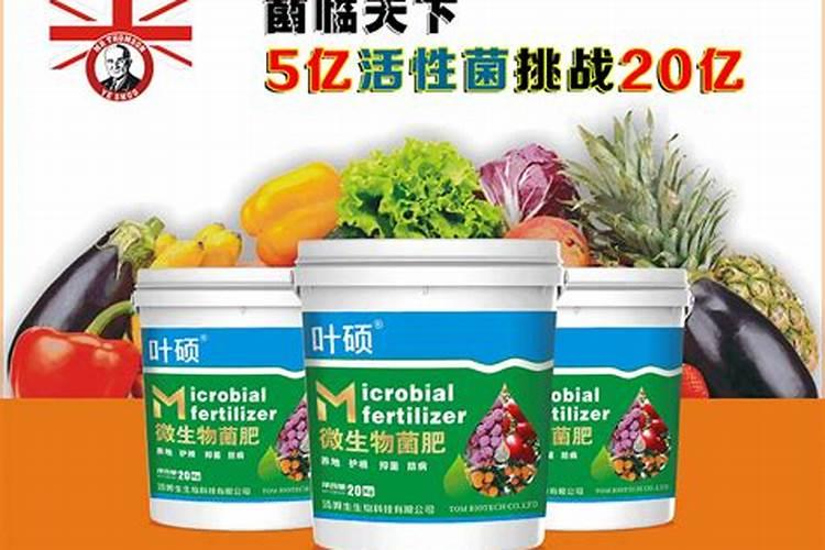 生根壮根的肥料有哪些