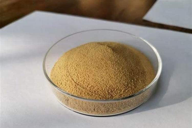 这些作物怎么使用鱼蛋白肥？千万别施错了!