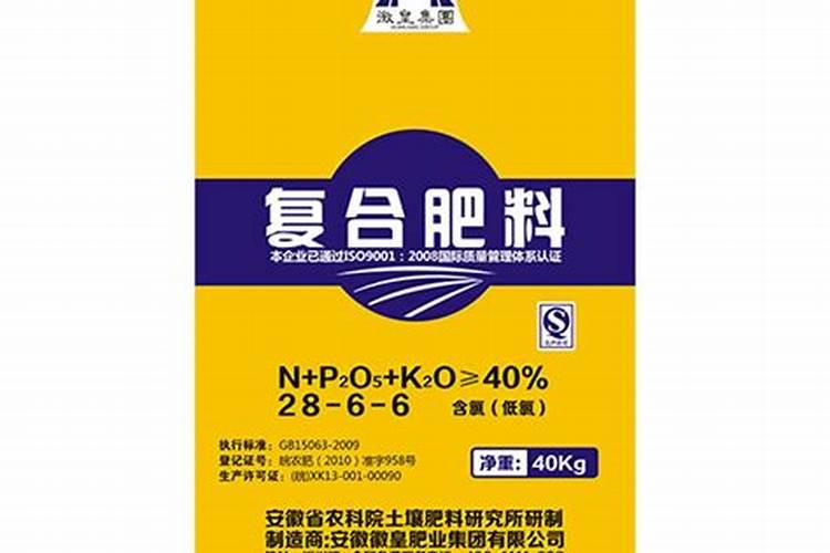 皇竹草怎么种植的