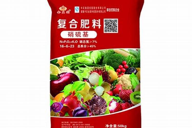 主流年宵花知多少