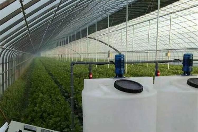 木灰是什么肥料