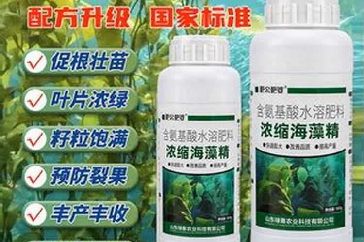 海藻精在肥料中的添加方法