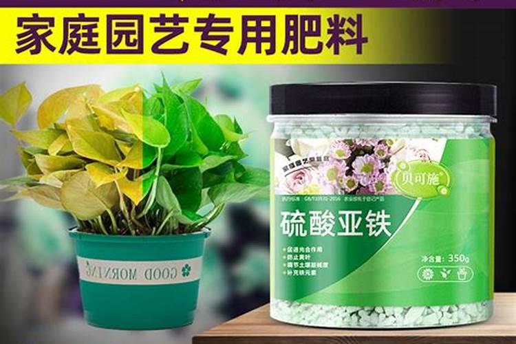 玉米专用叶面肥什么牌子好