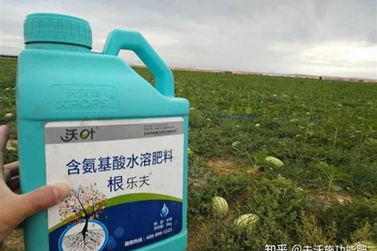 中微量水溶肥烧根吗