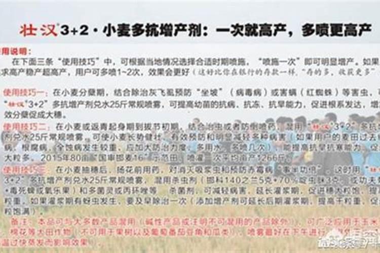 小麦的最佳施肥量是多少