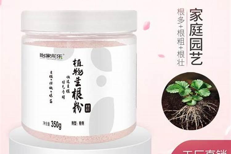 生根肥使用过程中应注意什么