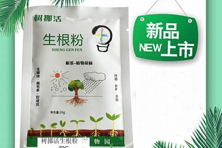 柑橘幼树根系发育不好用什么调节剂