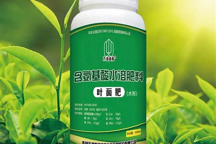 果树如何合理施用水溶肥