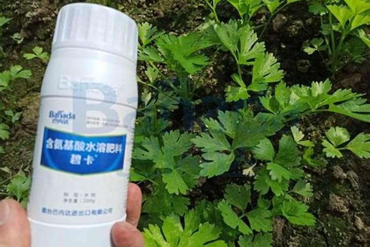 河北德沃多肥料有限公司怎么样？