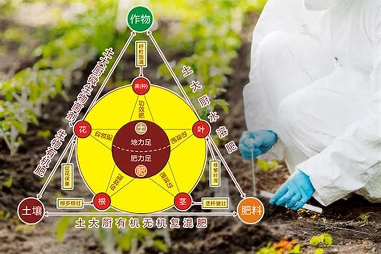 中国水溶肥的前十名 中国水溶肥的前十名是