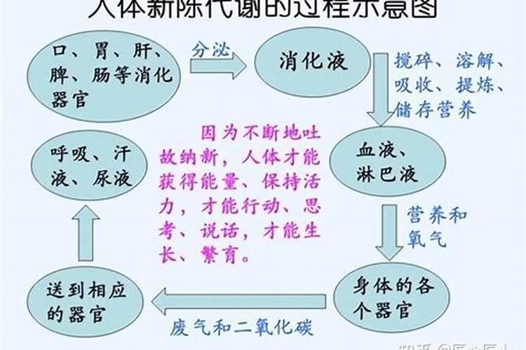 尿素能做水溶肥吗