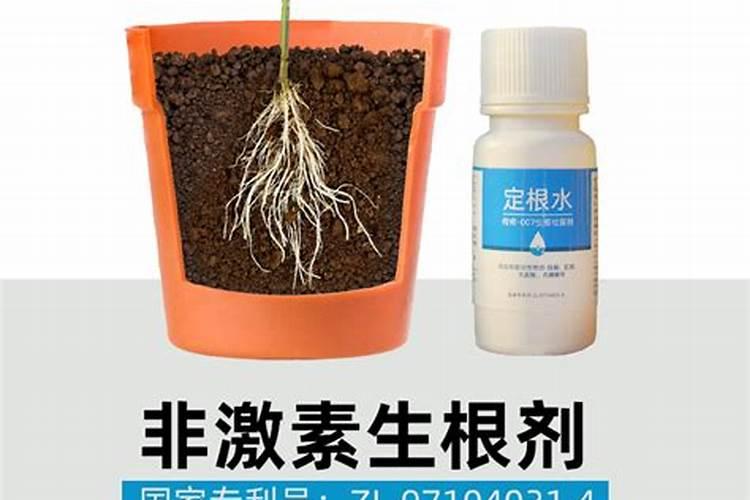 蔬菜施什么肥长得快又好