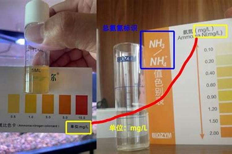 美国普利登鱼蛋白,这个有机肥怎么样。