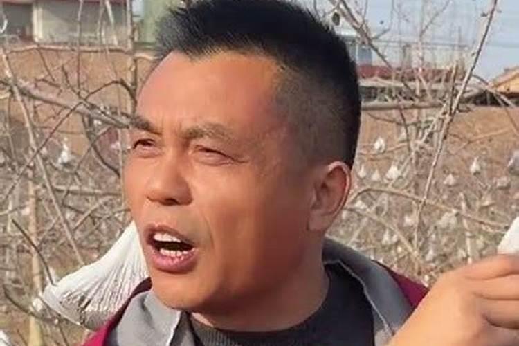 竹炭包是什么东西？