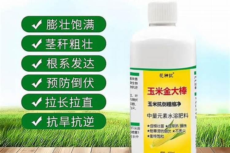 玉米水溶肥在玉米长棒子的时候可以打吗