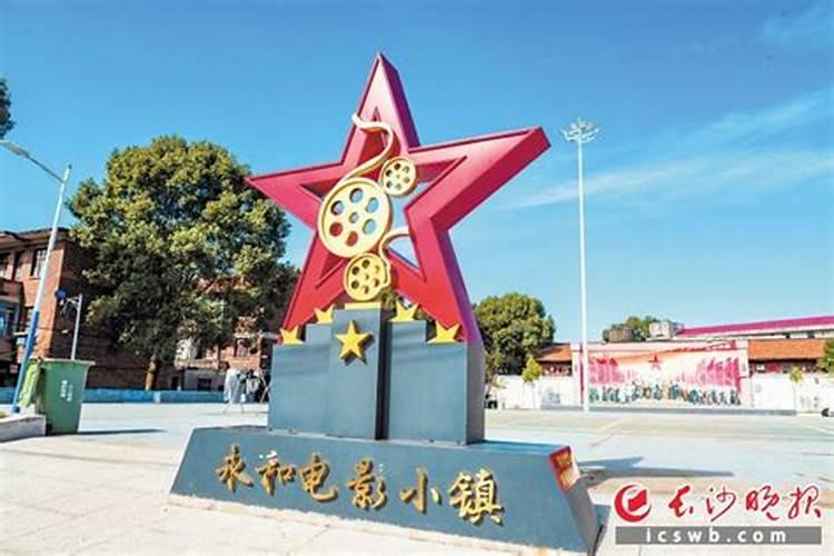 冬枣苗栽大苗好还是小苗好？