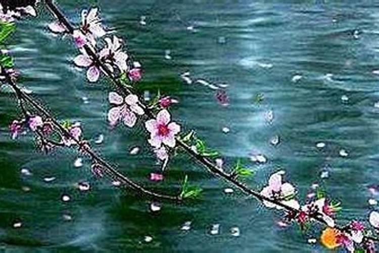 桃花什么时候施肥,桃花盆栽施肥方法