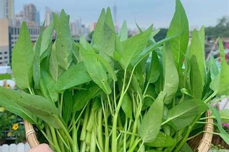 草莓魔方怎么拼