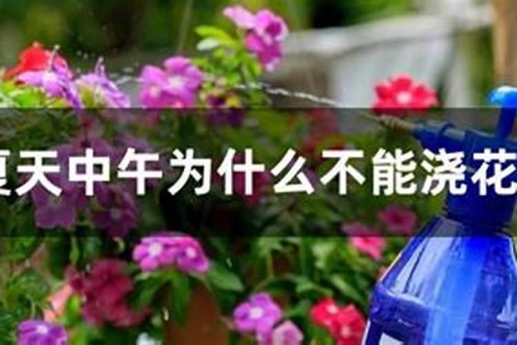 硝酸钾是什么肥