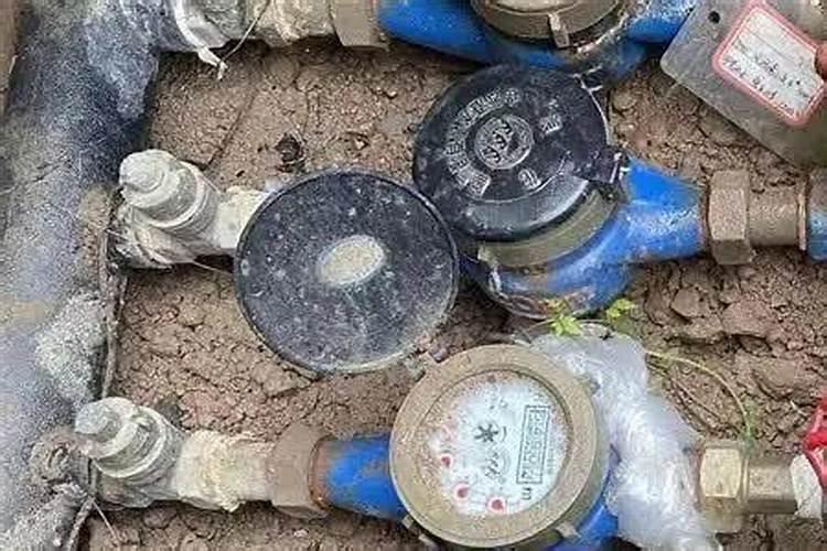 怎样才能种出高产水稻