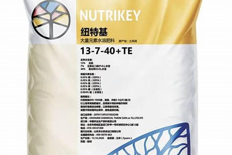 西红柿需要什么肥才能长得大