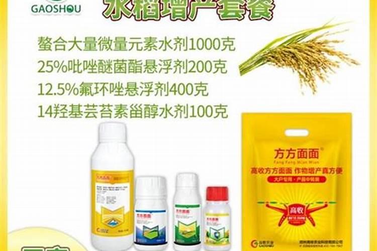 水稻后期贪青晚熟喷施什么叶面肥什么时间喷