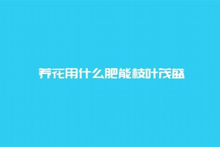 生根最快的肥料