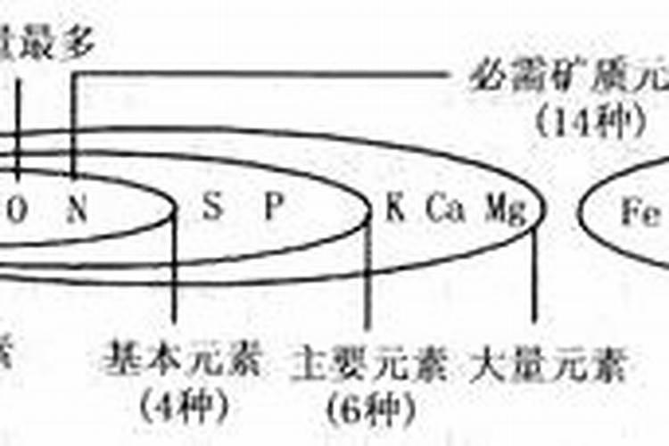 大量元素基本信息