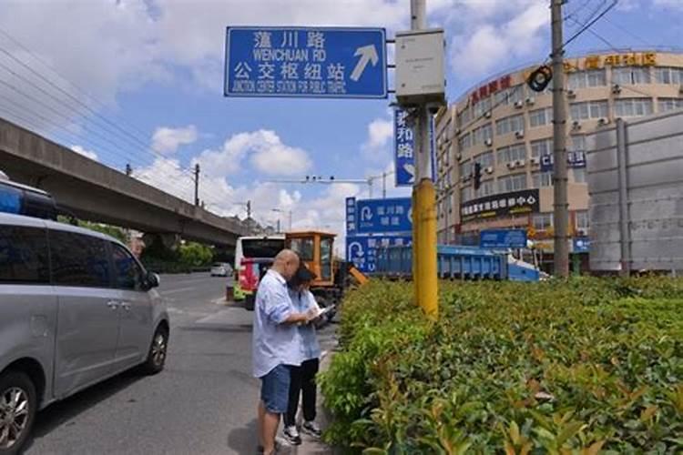 求助,在湖北种植什么果树较好