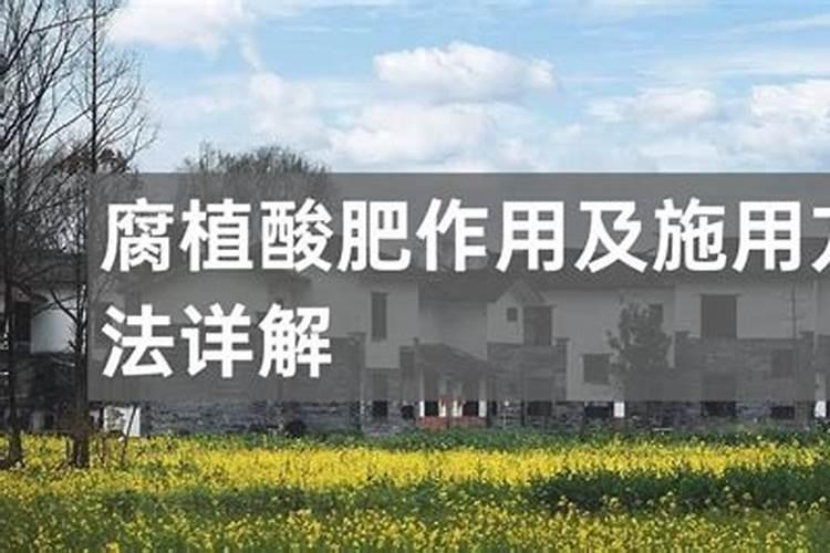 含腐植酸水溶肥料有什么功能和普通水溶肥有区别吗？