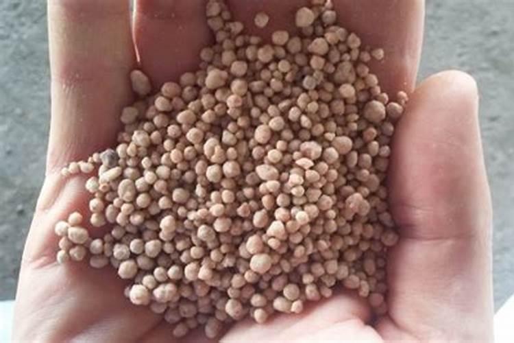 磷肥的正确使用方法