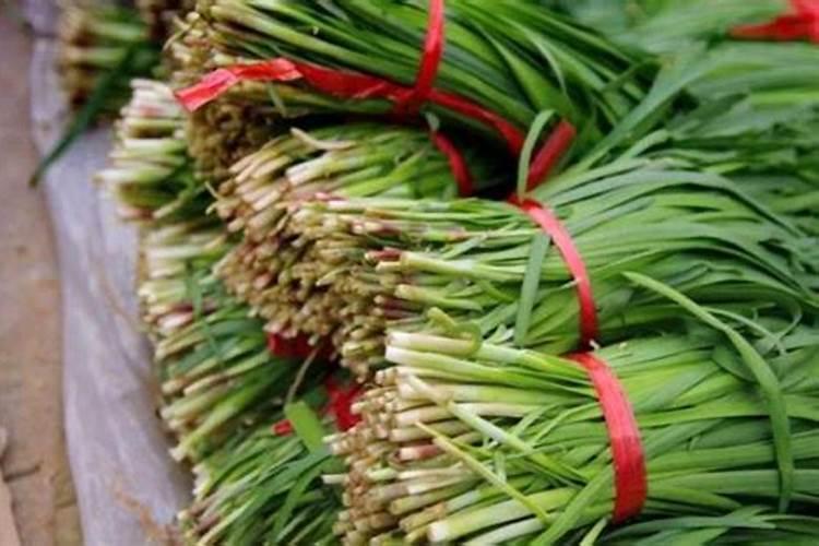 韭菜最忌三种肥料