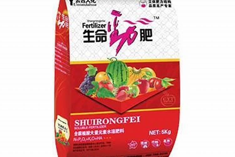 长寿花小苗变老桩怎么养？