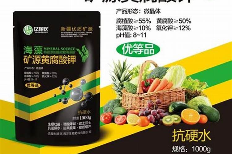 钾肥价格多少钱一吨