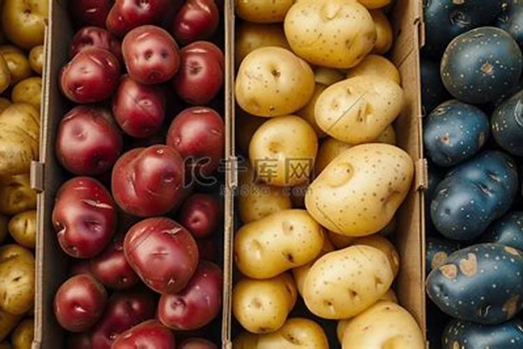 哪种粪对土豆最好 种土豆怎么施肥