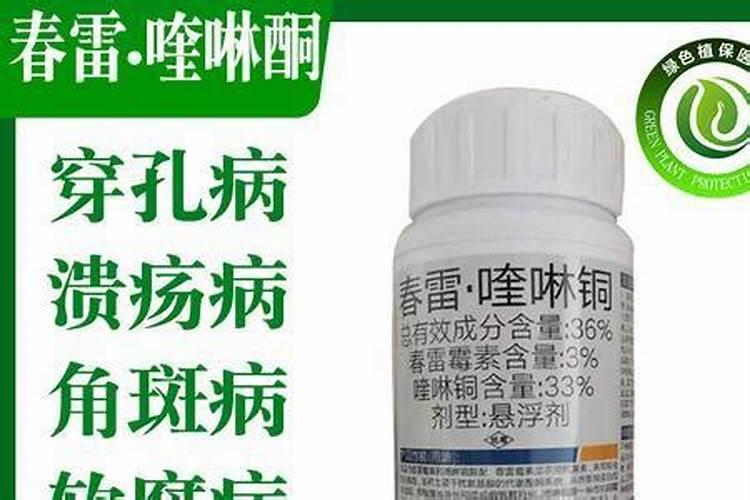 叶面肥十大名牌排名